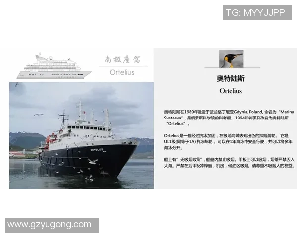 探索奥蓬达的魅力与历史深度揭示其在当代文化中的重要性与影响力 探索奥蓬达的魅力与历史深度揭示其在当代文化中的重要性与影响力