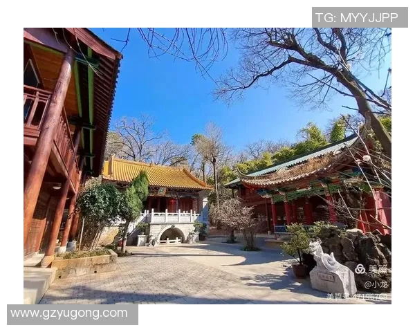 篮球明星黑龙的传奇人生与赛场背后的奋斗故事